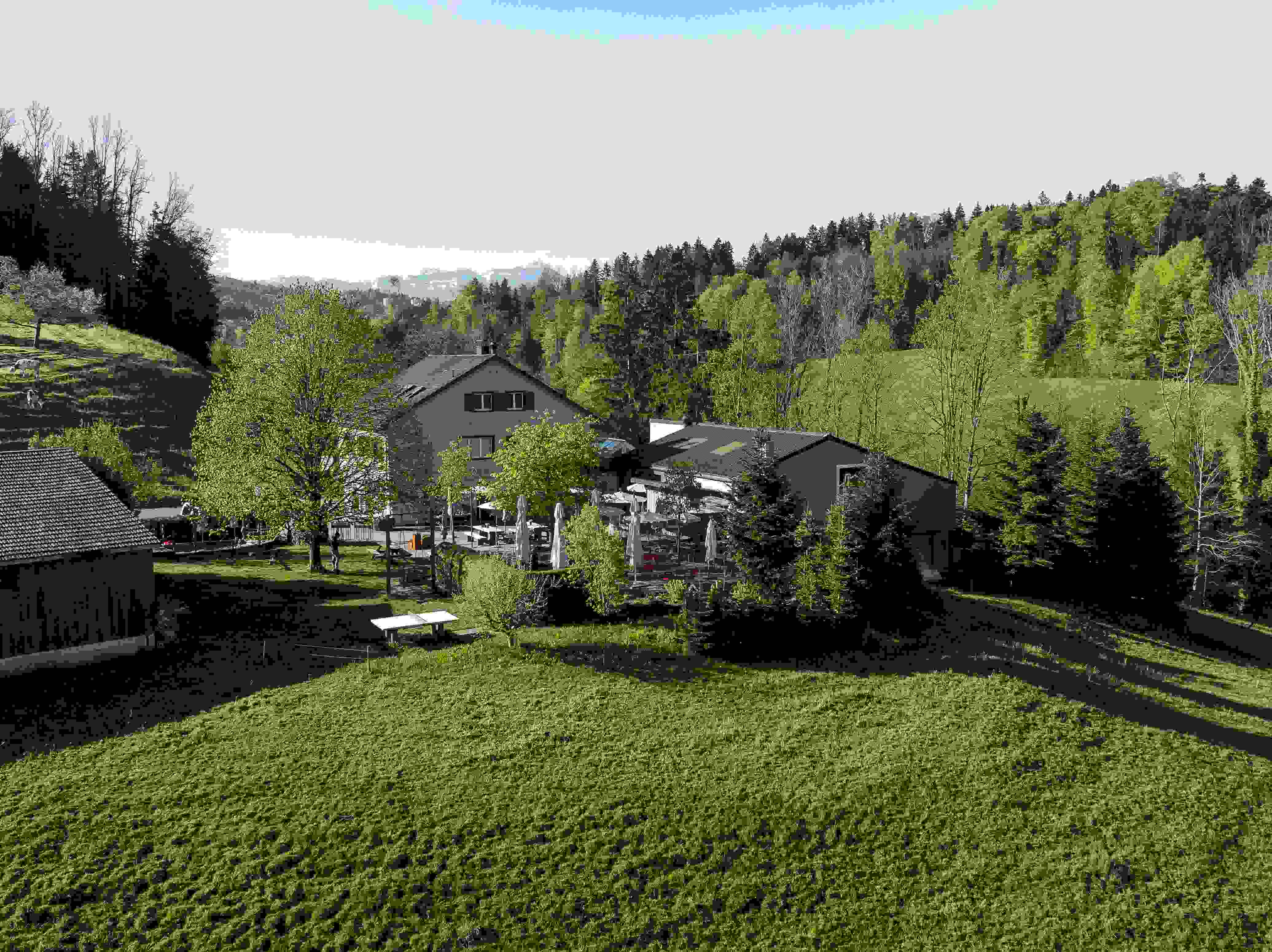 DJI_20260424090310_0275